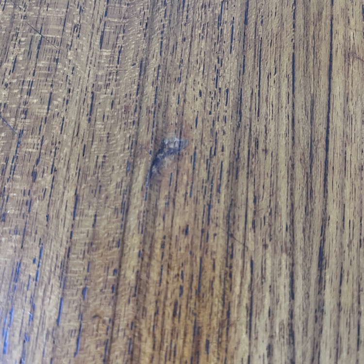 Table basse carrée en teck – Image 10